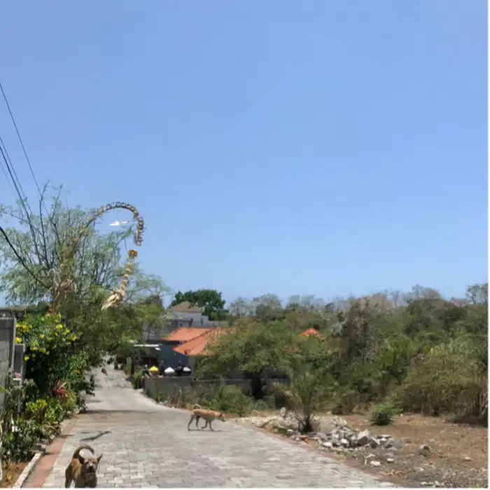 dijual tanah dekat pantai pandawa kutuh