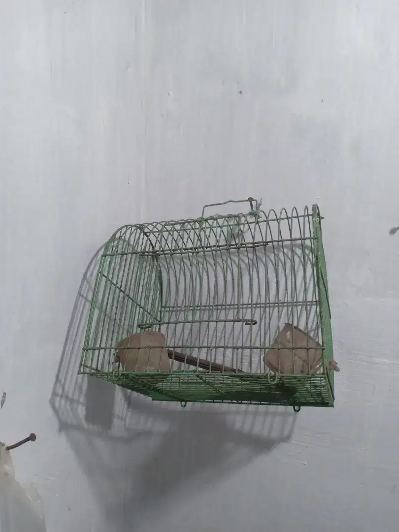 Sarang burung masih baru