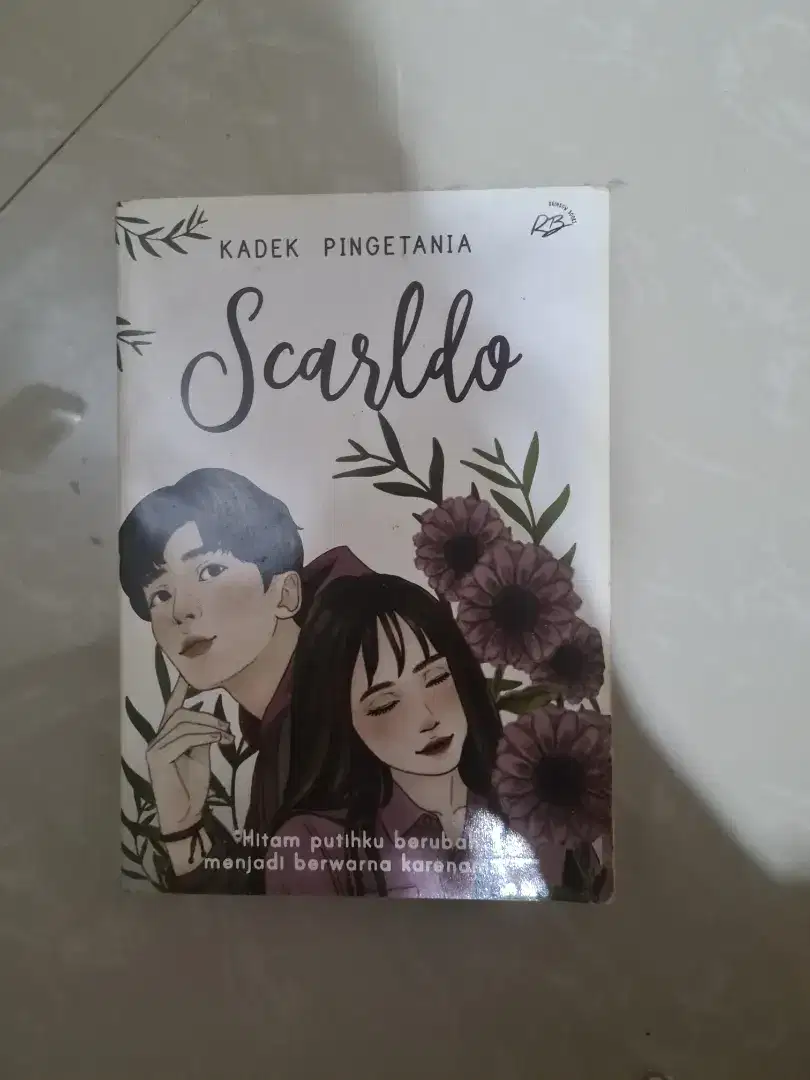 NOVEL REMAJA MURAHHH