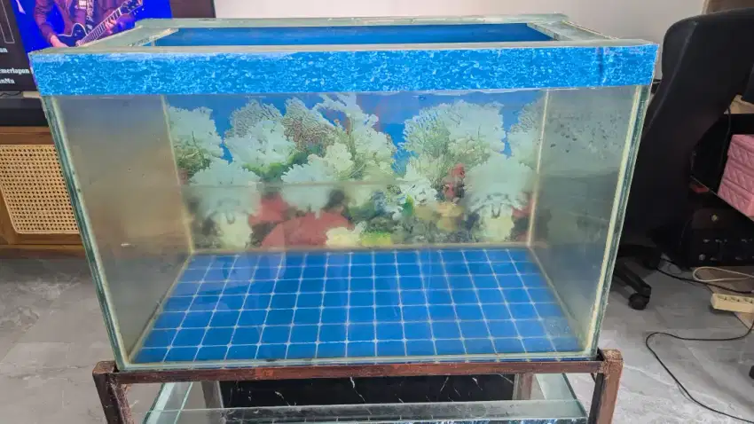 Aquarium Akuarium Besar 80cm Tebal 10mm Siap Pakai No Minus