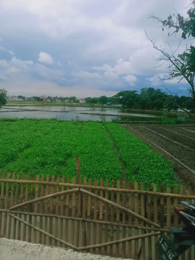 DI JUAL CEPAT TANAH DI BABELAN KOTA COCOK UNTUK KOMERSIL PERUMAHAN DLL