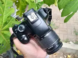 Kamera dslr Canon 1100D full efek