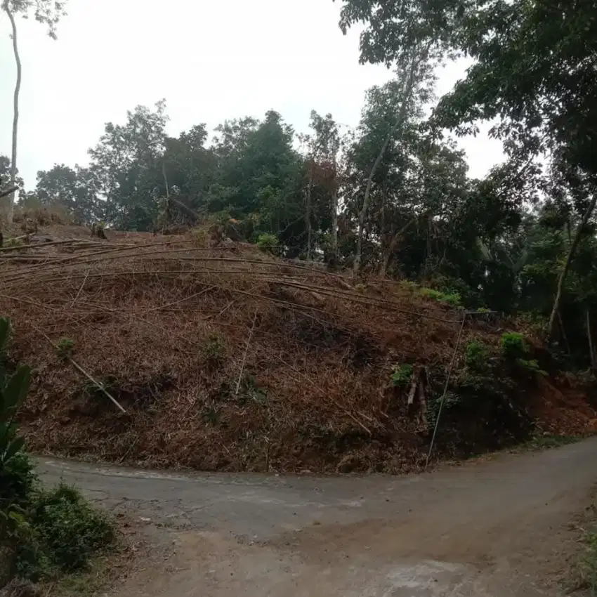 Tanah Murah Cocok di kavling