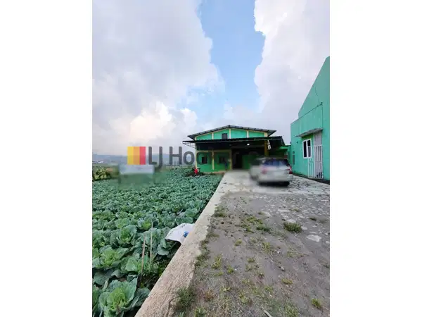 Tempat Usaha di Batur Dieng Wonosobo Jawa Tengah