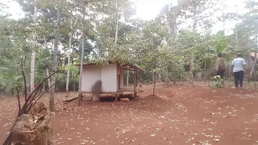 Tanah Kebun Duren Dijual Di Rego Serang Banten