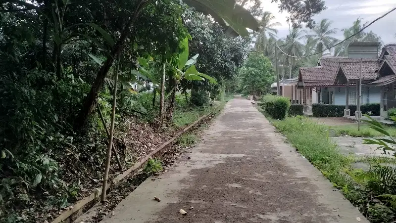 Dijual Tanah Kebun Duren 1450 M²  Sukajaya  Pandeglang kota