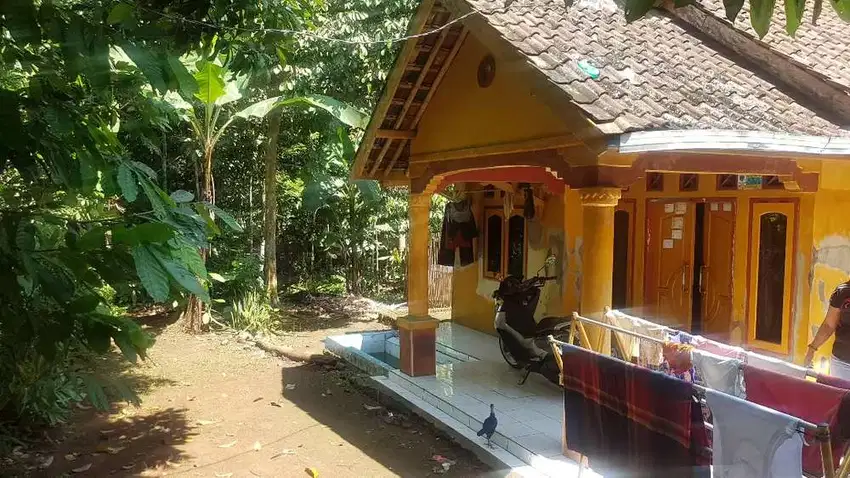 Rumah murah Dijual di Pandeglang Banten Pasir Jaksa