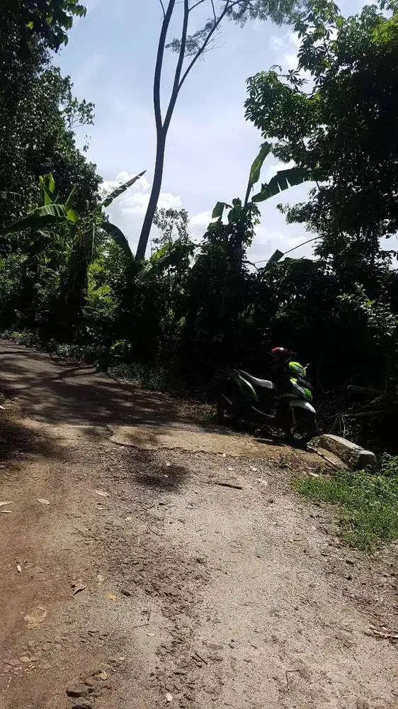 Tanah Dijual Di Pandeglang Banten Kaungcaang 2000 m2