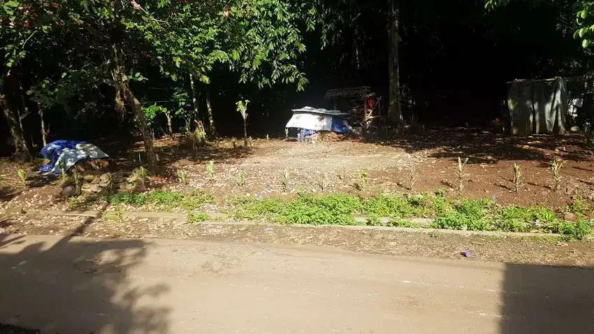 Tanah datar murah strategis pinggir jalan Desa Kolelet impress Wargun