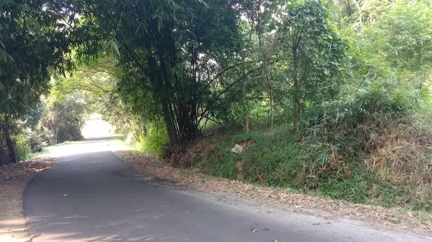 KEBUN DI JALAN RAYA || 3 KM KE GERBANG TOL DARANGDAN