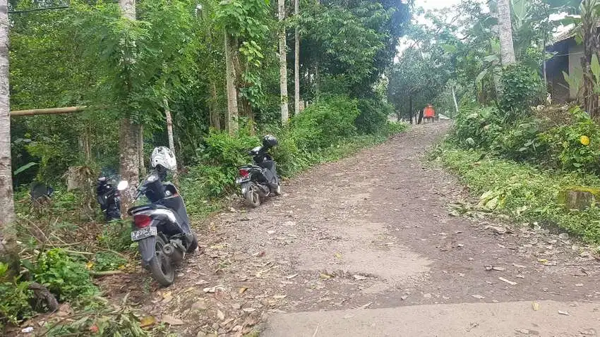 Dijual Tanah kebun durian 2380 M2 di Majasari Pandeglang