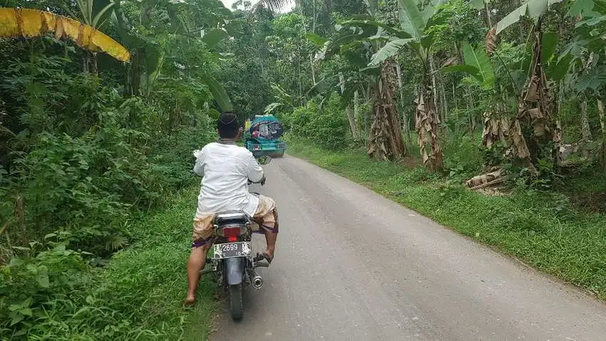 Tanah Dijual Di Pandeglang 1 Ha murah Jalan Raya Awilega