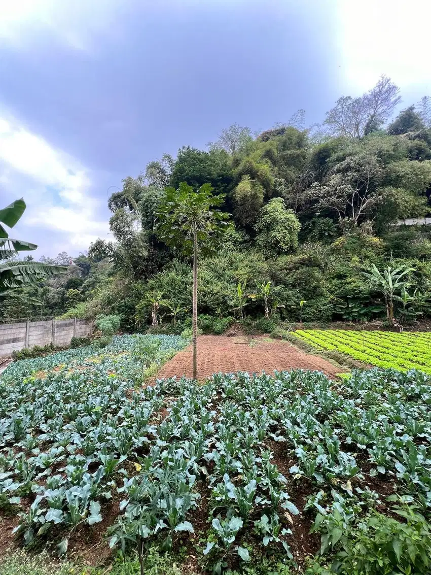 Tanah Residensial area Ciwaruga Parongpong