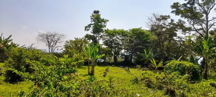 Lahan pertanian produktif view gunung salak