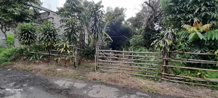 Tanah darat dan sawah air sangat subur cocok buat bikin kolam ikan