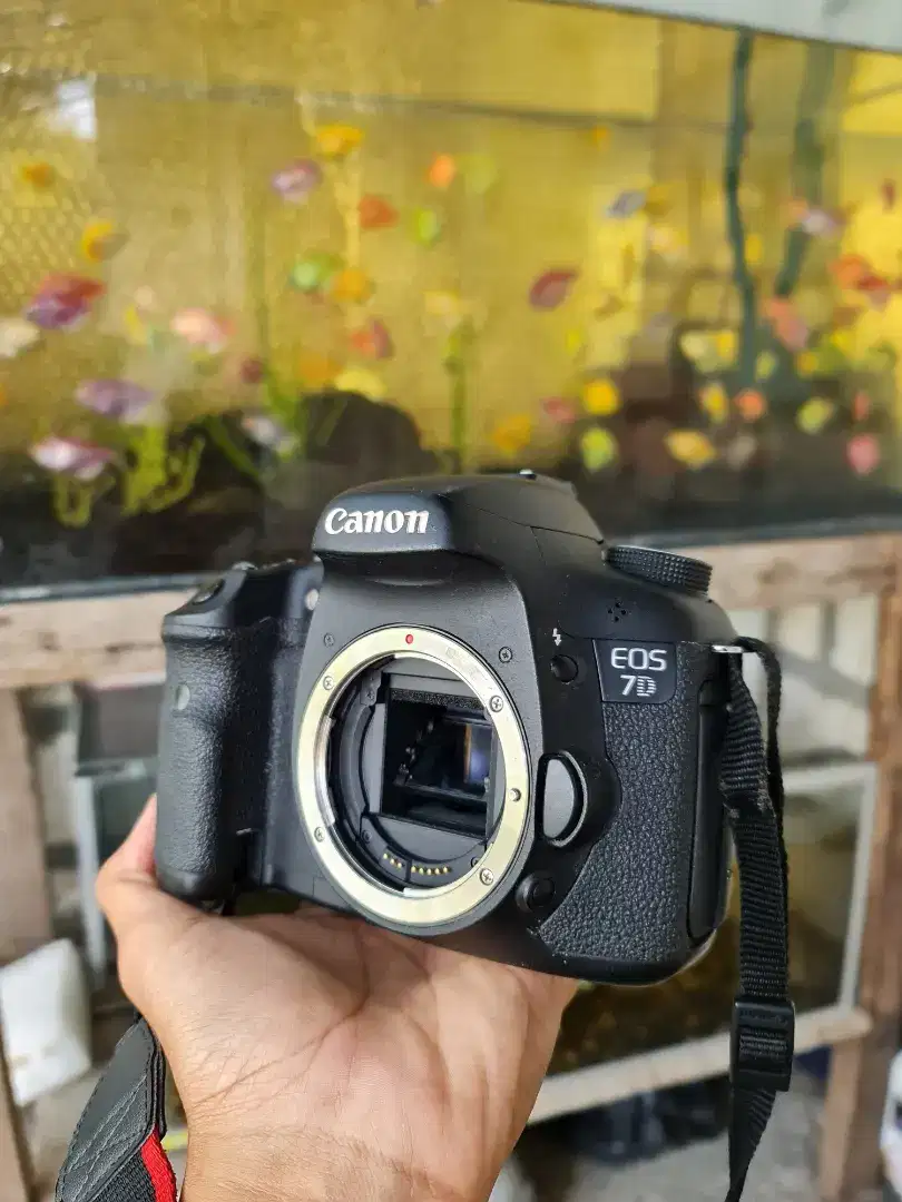 Canon 7D mulus no minus