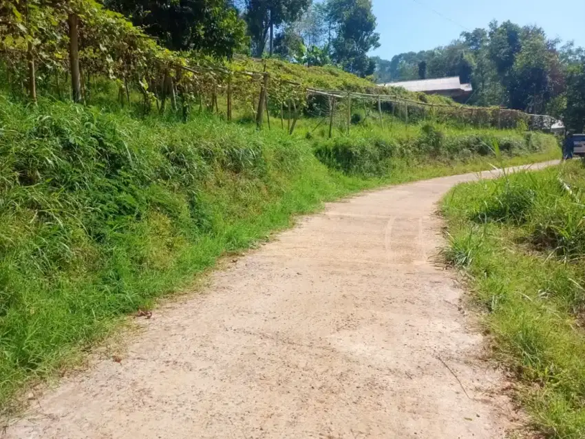 Tanah super murah di kawasan wisata ciwidey