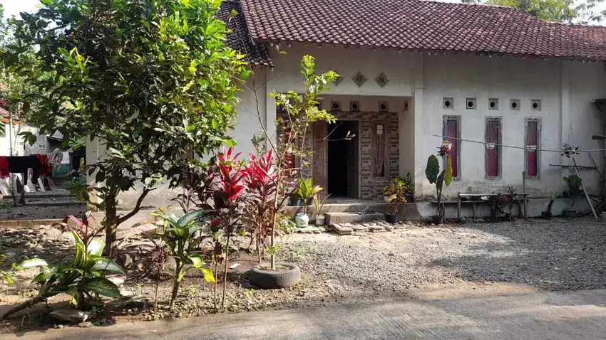 Rumah Siap Huni Murah di Panjatan Kulonprogo RSH 910