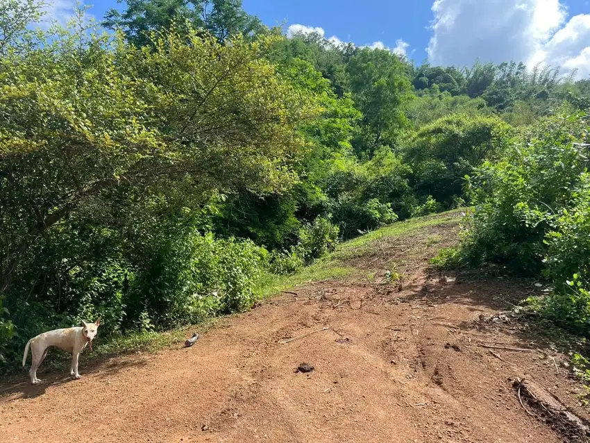 Tanah murah di Kuta Mandalika Lombok. Cocok untuk villa