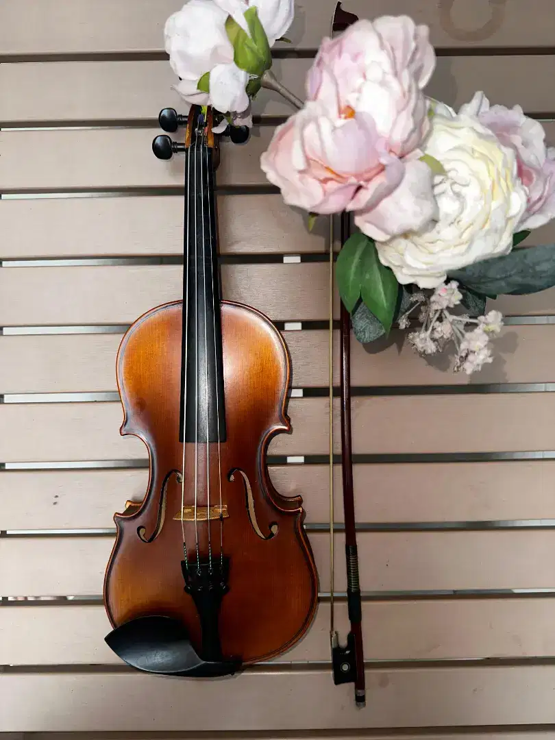 Bulid Up Violin