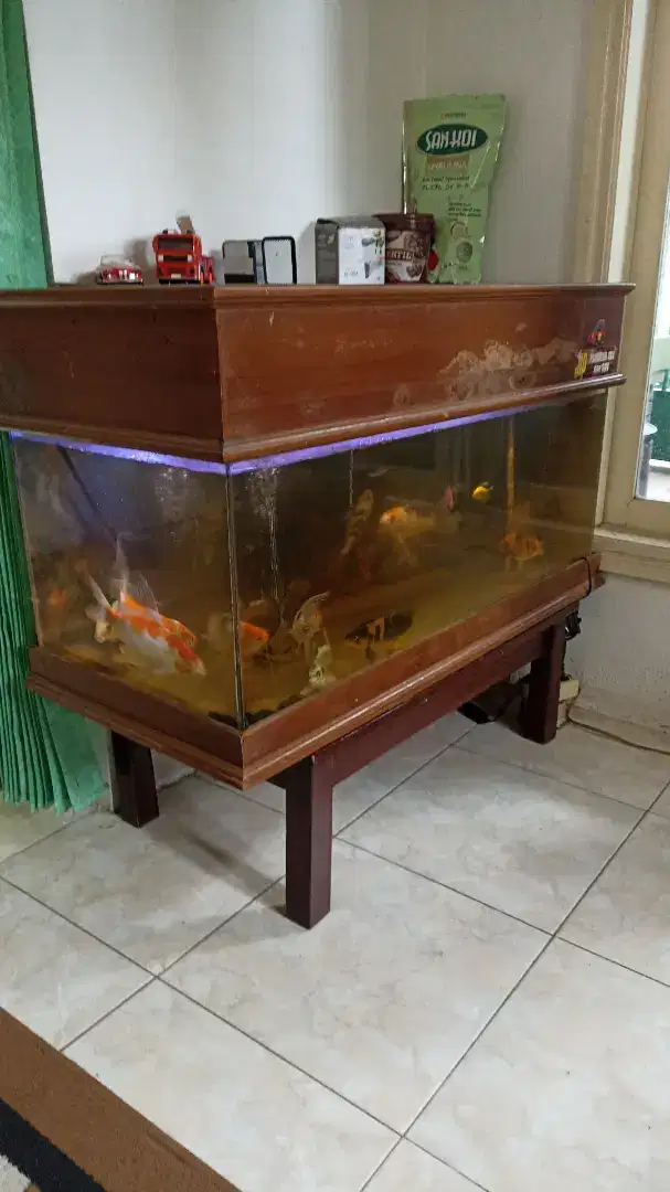 Jual Aquarium dan Ikan Hias Koi