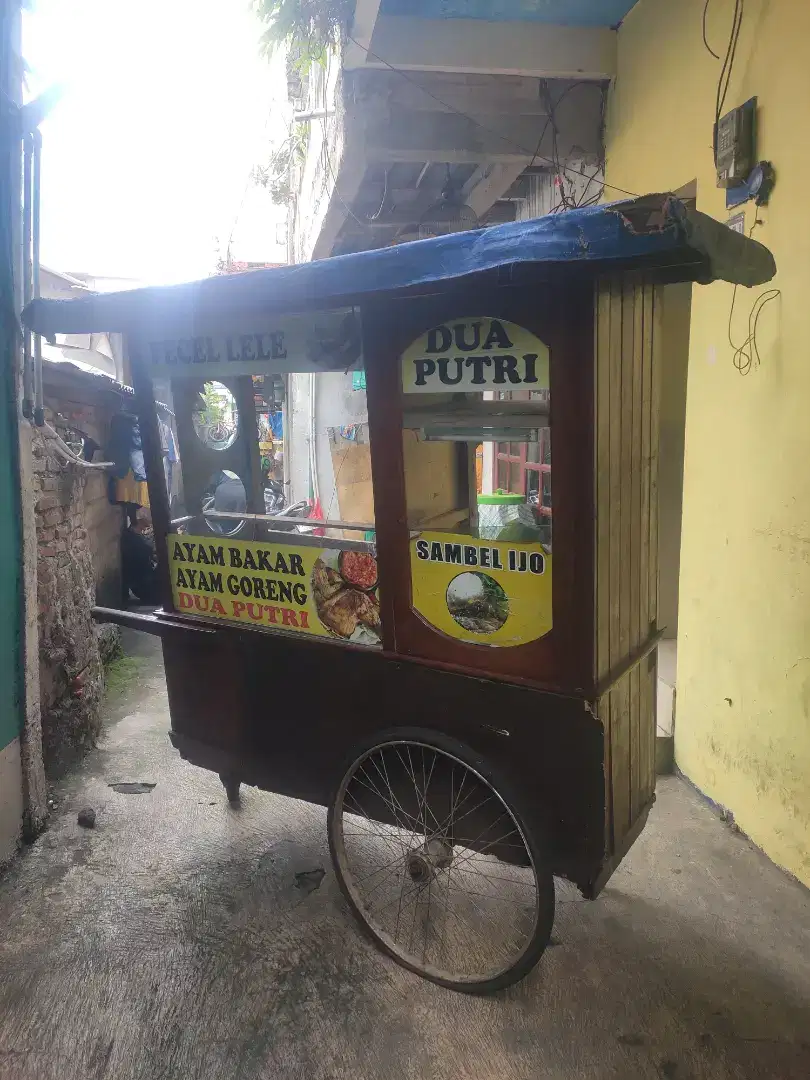 gerobag gerobak pecel ayam, soto, sate