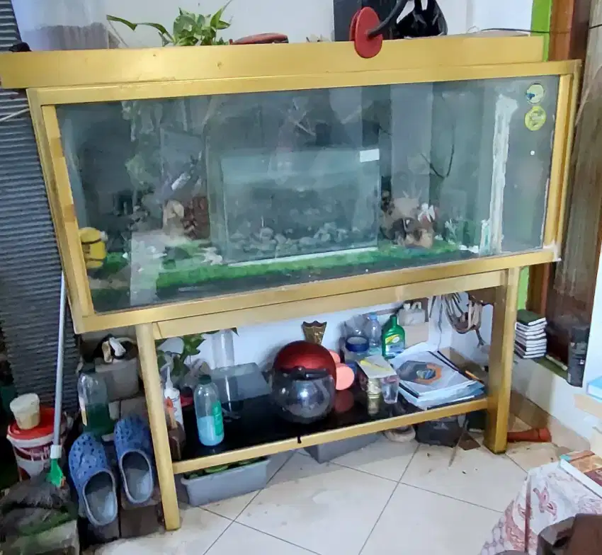 Aquarium besar MURAH