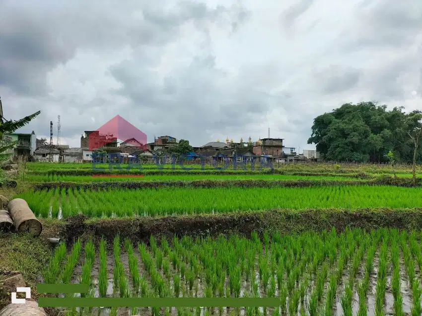 Tanah Jual Dekat Pabrik BDF Singosari