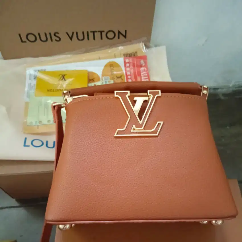 Preloved Tas LV Cappucines Mini