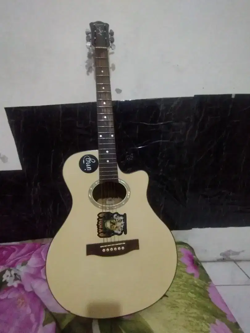 Gitar Legacy MJG 616 CEQ