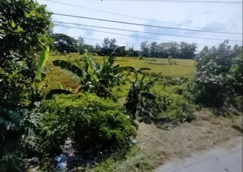 Kebun Pisang, Pinggir Jalan Besar, Lokasi Strategis, dekat Bank BRI