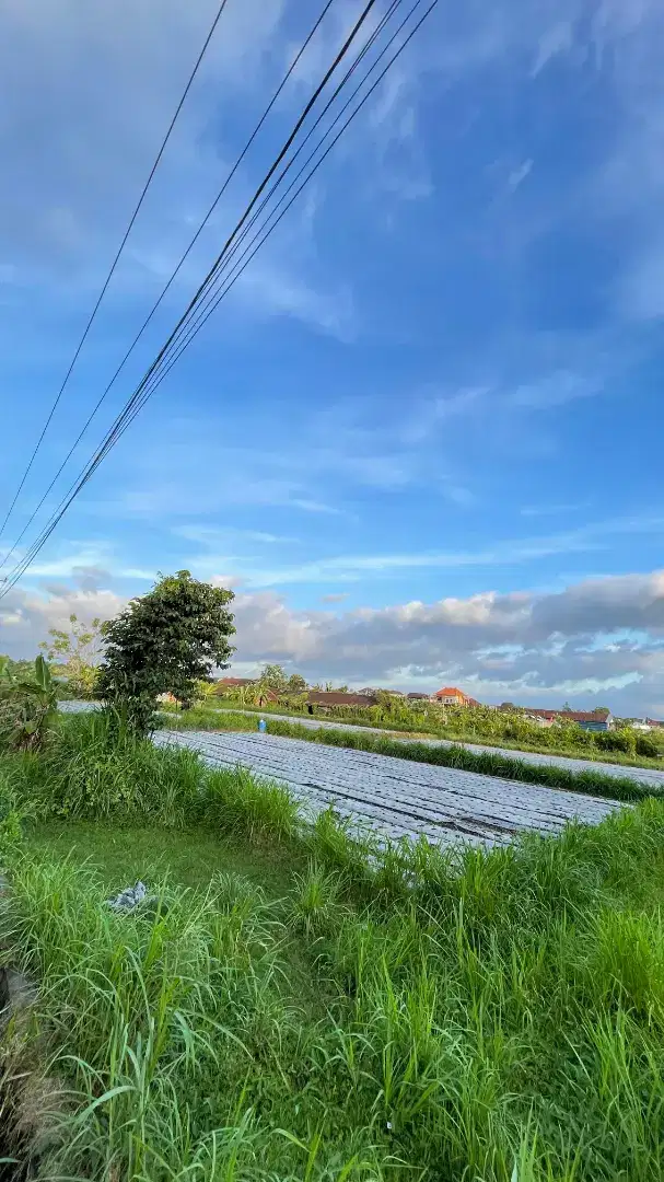 Tanah Strategis di Bali - Lokasi Klungkung!