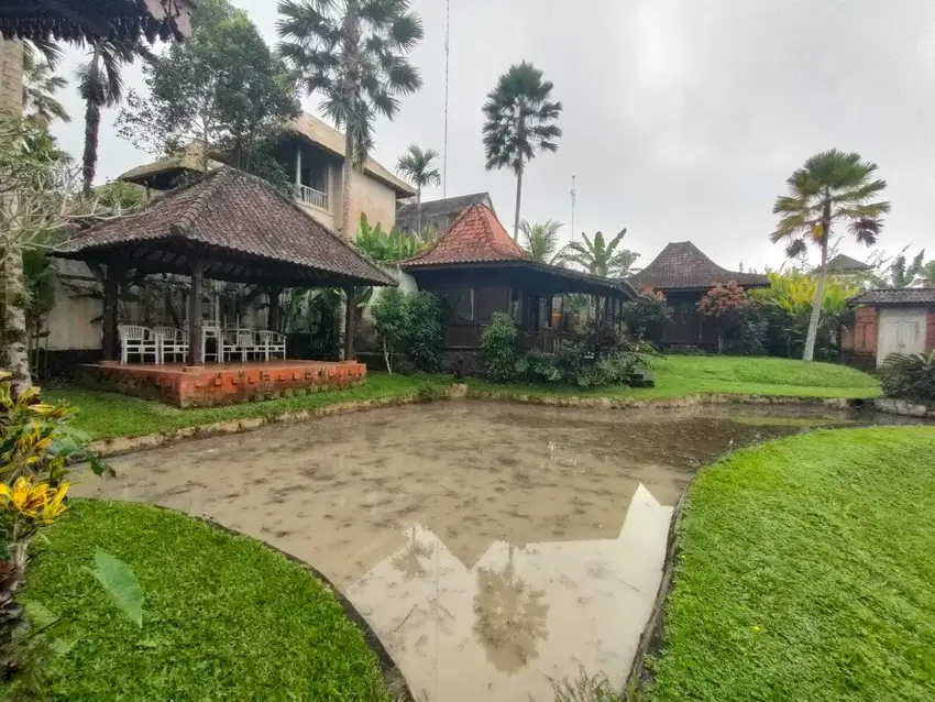 Sale villa style joglo 923m2 view sawah,garden luas tegalalang ubud