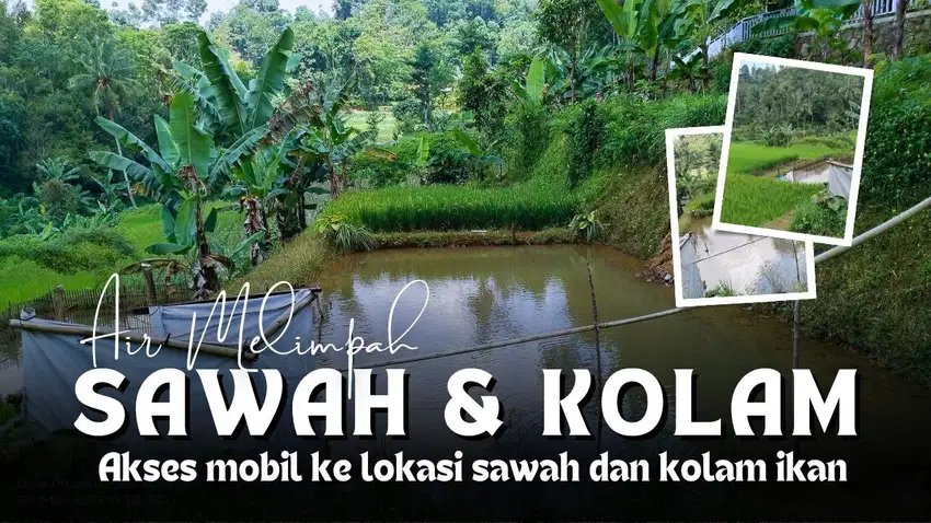 KOLAM IKAN DAN SAWAH 200M² || AKSES MOBIL.