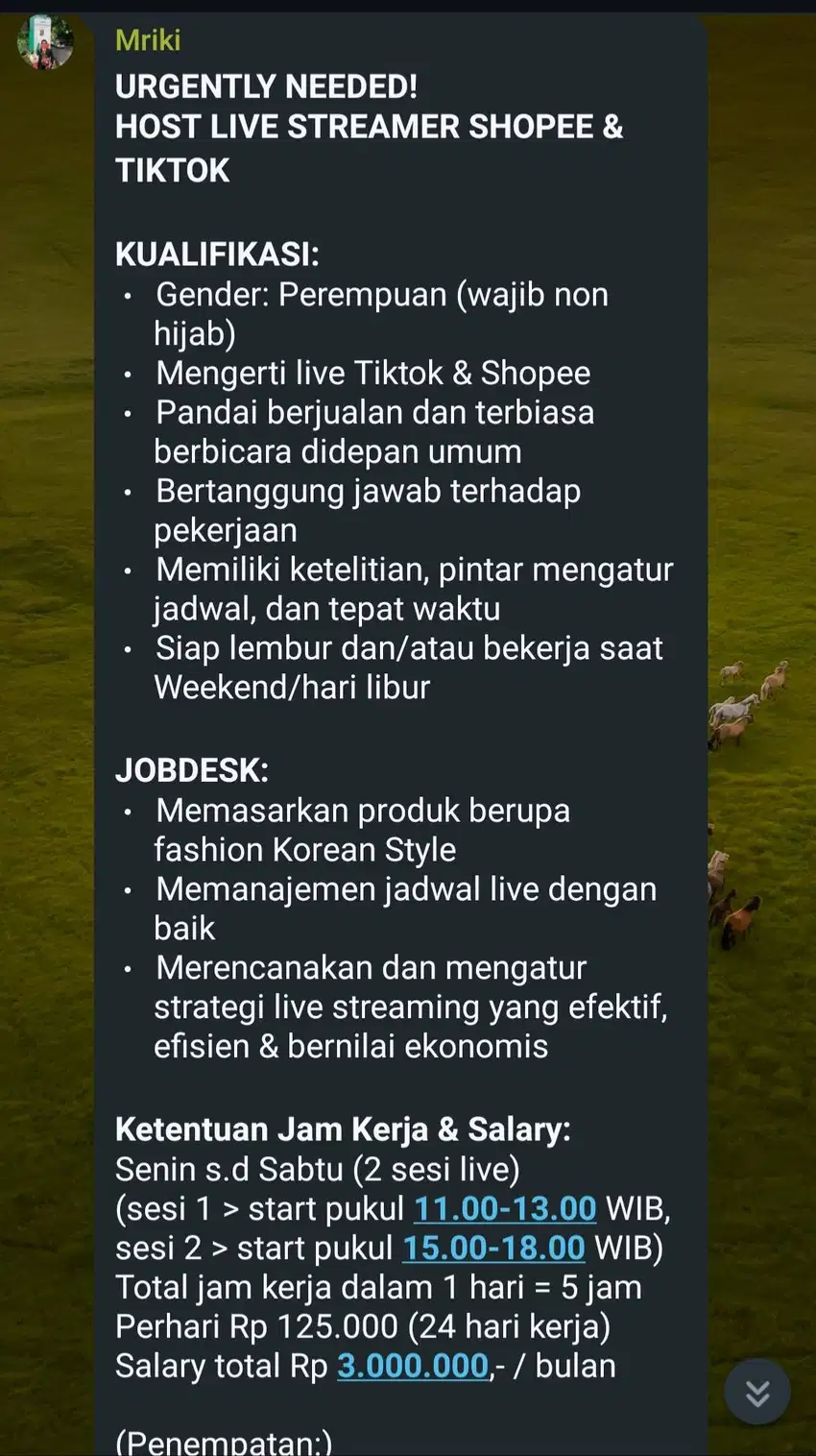 URGENTLY NEEDED! HOST LIVE STREAMER SHOPEE & TIKTOK