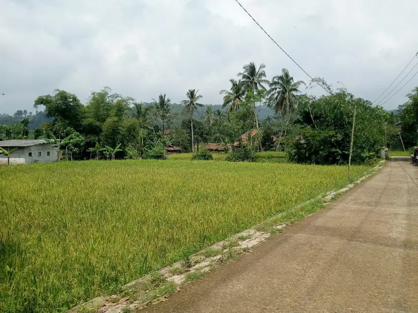 JUAL SAWAH NEMPEL SALURAN AIR BESAR, DEKAT KE WISATA