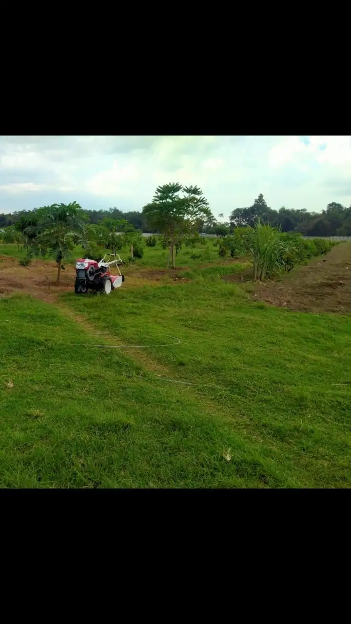 Dijual tanah kering udah pagar keliling di Gurah Kediri