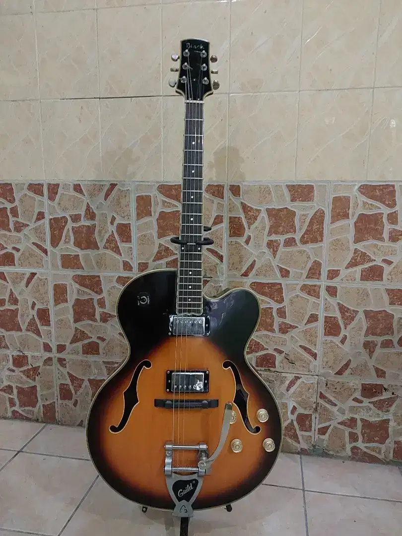 Gitar akustik elektrik Hollow