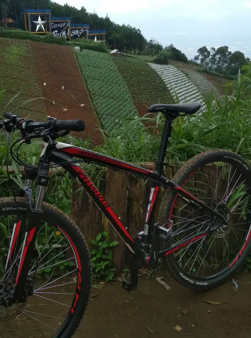 MTB SPECIALIZED 29ER