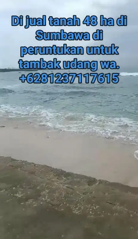 Di jual tanah 48 ha untuk tambak udang di Sumbawa