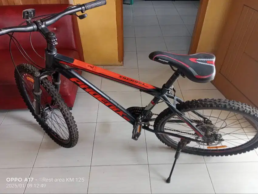 Jual sepeda bekas NEW PHOENIX 171 MX ( since 1897)