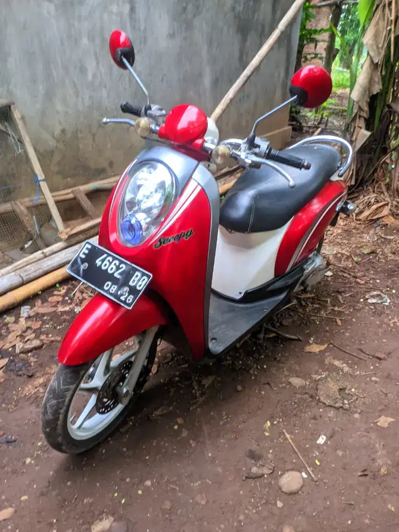 Honda Scoopy 2011