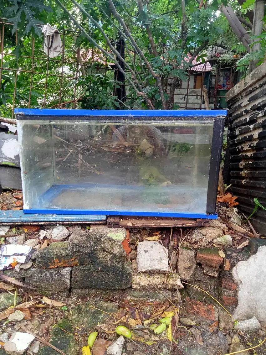 Jual aquarium bosqu