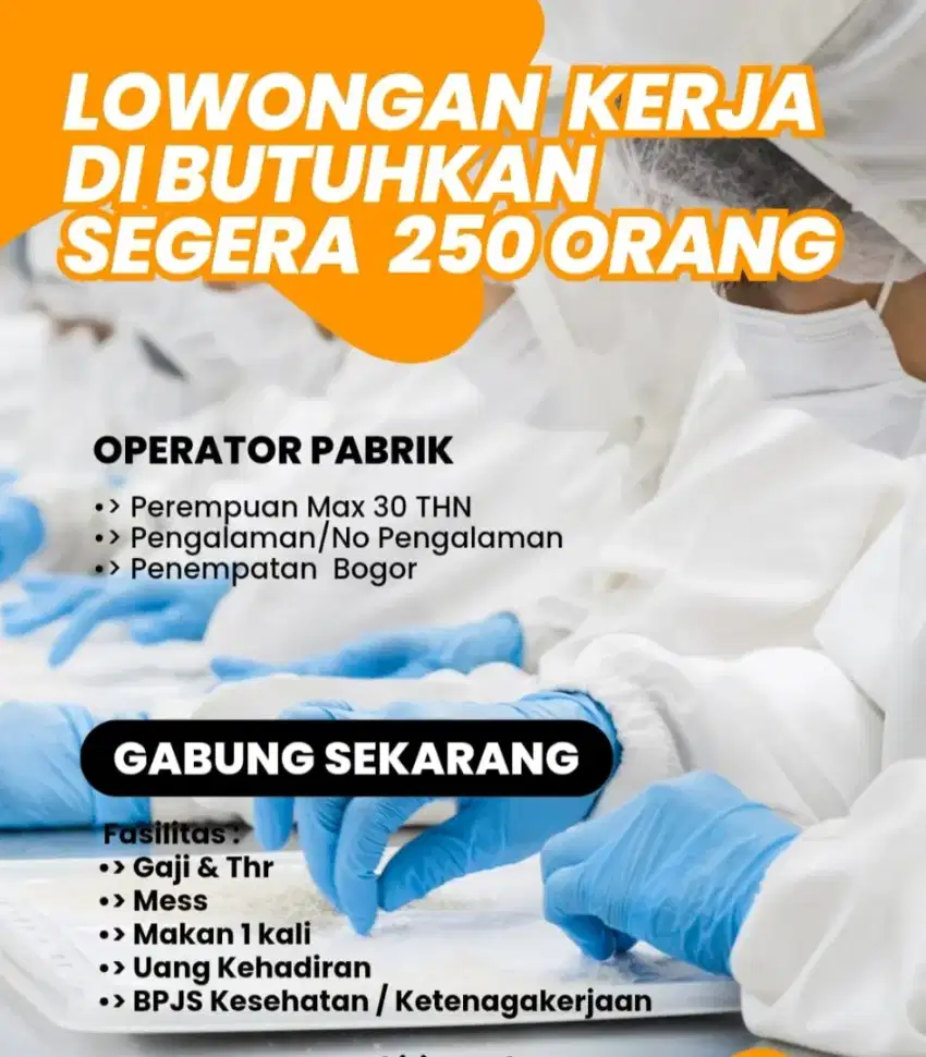 Lowongan pekerjaan terbaru 2025