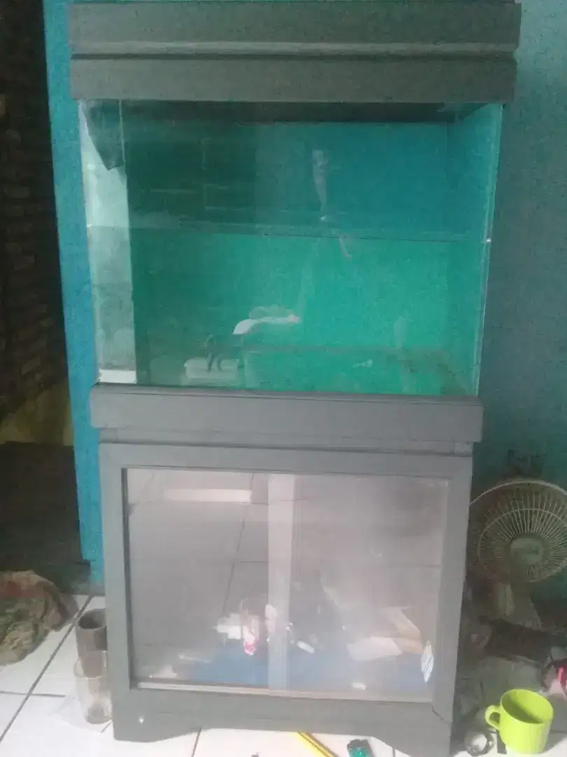 Aquarium ikan bagus