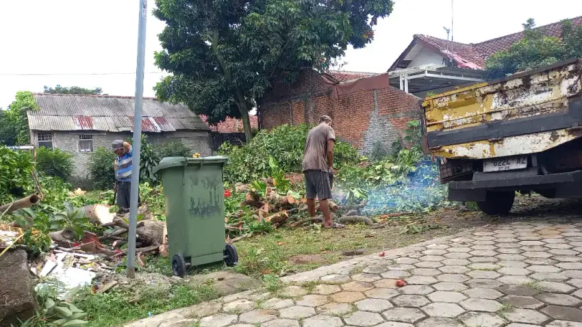 Jasa tebang pohon bogor dsk