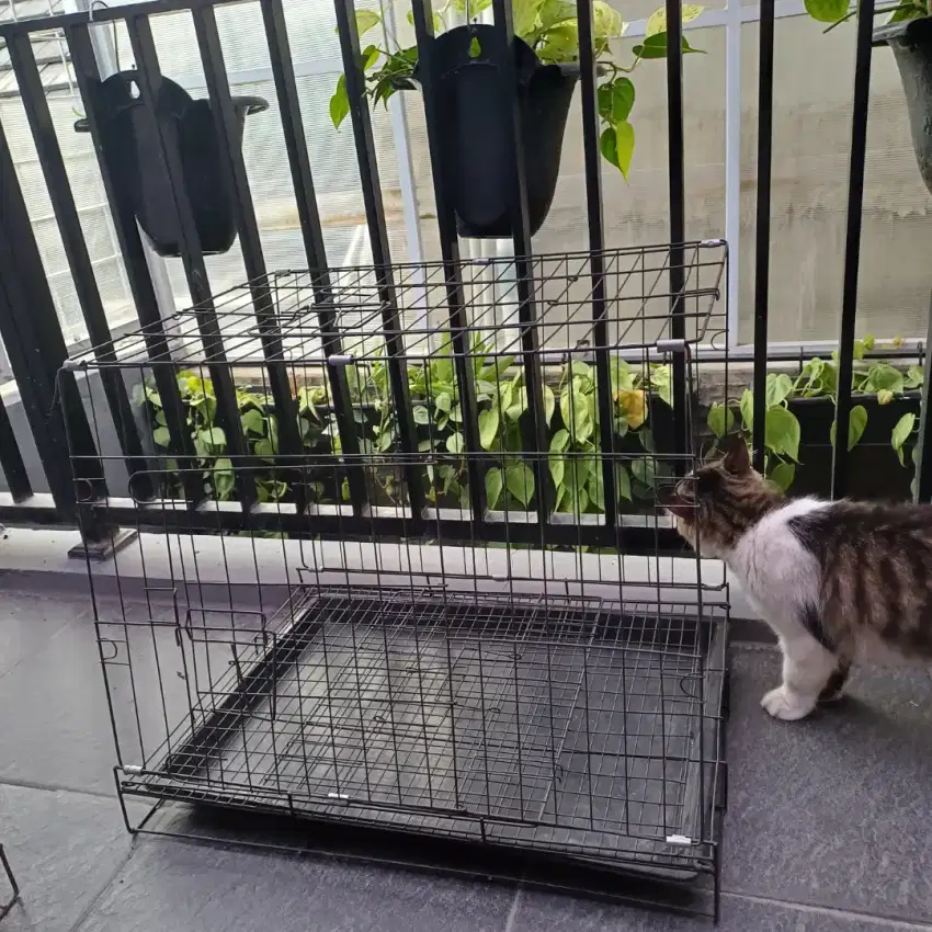 Kandang kucing,bekas tapi kayak baru ukuran tinggi 50cm lebar 60cm