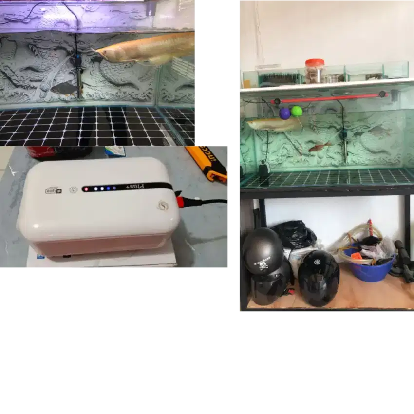 Jual Fullset ikan sama aquarium peralatan