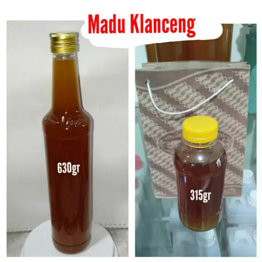 Madu Klanceng Hutan