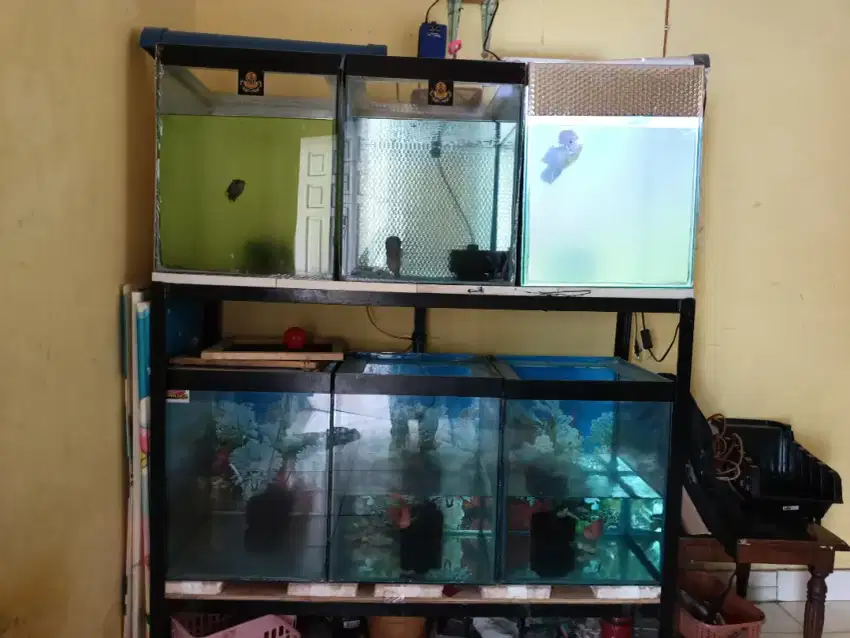 Aquarium + rak siku